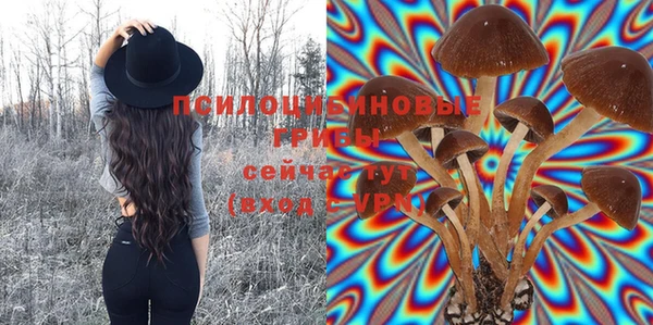 соль курить ск Абаза