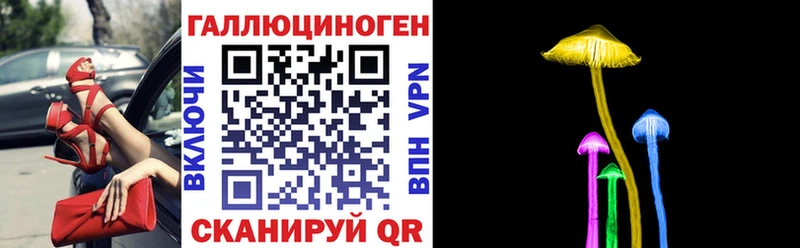 OMG маркетплейс  где найти   Тольятти  Псилоцибиновые грибы GOLDEN TEACHER 
